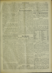 Deutsches Volksblatt 19020730 Seite: 19