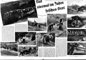 Wiener Bilder 19370725 Seite: 8