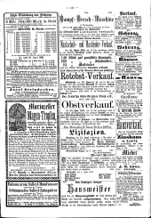 Leitmeritzer Zeitung 18810611 Seite: 11