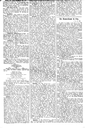 Linzer Volksblatt 18820523 Seite: 3