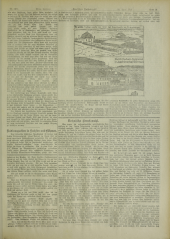 Deutsches Volksblatt 19120428 Seite: 19