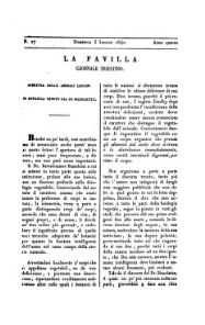 La Favilla giornale