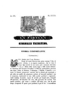 La Favilla giornale