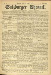 Salzburger Chronik