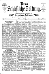 Neue Schlesische Zeitung