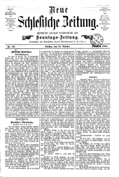 Neue Schlesische Zeitung