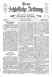 Neue Schlesische Zeitung