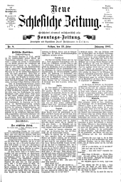 Neue Schlesische Zeitung