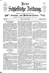 Neue Schlesische Zeitung