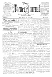 Neues Wiener Journal