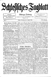 Neue Schlesische Zeitung