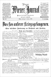 Neues Wiener Journal