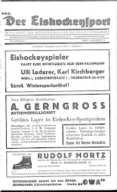 Der Eishockeysport