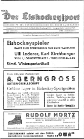 Der Eishockeysport