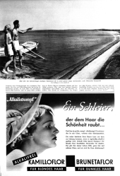 Wiener Bilder