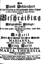 Wiener Zeitung 17440201 Seite: 31