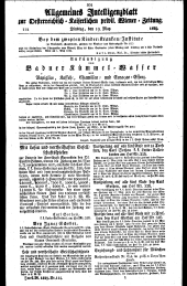 Wiener Zeitung 18290519 Seite: 11