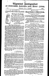 Wiener Zeitung 18290617 Seite: 13