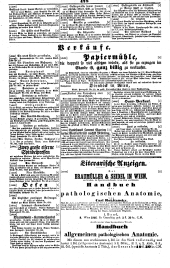 Wiener Zeitung 18461009 Seite: 22