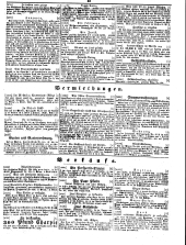 Wiener Zeitung 18490704 Seite: 25