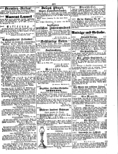 Wiener Zeitung 18500410 Seite: 25