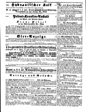 Wiener Zeitung 18500528 Seite: 30