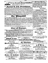 Wiener Zeitung 18500608 Seite: 10