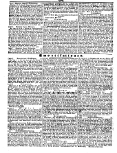 Wiener Zeitung 18500626 Seite: 30