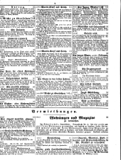 Wiener Zeitung 18500703 Seite: 29