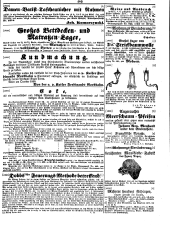 Wiener Zeitung 18501009 Seite: 29