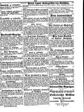 Wiener Zeitung 18501023 Seite: 35