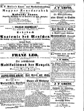 Wiener Zeitung 18501027 Seite: 17