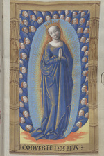 Maria als Himmelskönigin im Strahlenkranz
