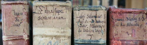 Vorsignaturengruppe 'Salisburgenses', Sammlung von Handschriften und alten Drucken, Österreichische Nationalbibliothek