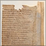 Die mittelalterliche Handschriftensammlung des ehemaligen Benediktinerstiftes Mondsee in Oberösterreich