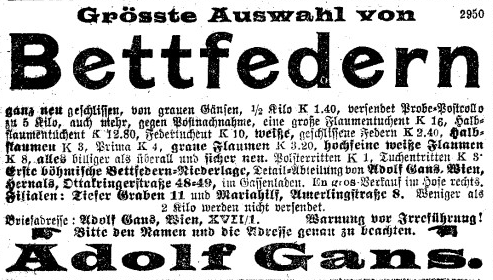 Bettfedern Gans