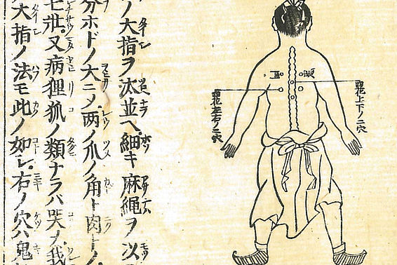 Okamoto Ippō, Far Eastern medicine