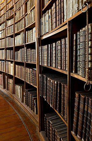 Bücherregal im Prunksaal Bücherregal im Prunksaal