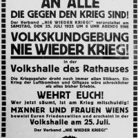 Volkskundgebung "Nie wieder Krieg" (25. Juli 1925)