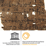 Informationen zu einem repräsentativen Papyrus "Die Verwünschung der Artemisia"