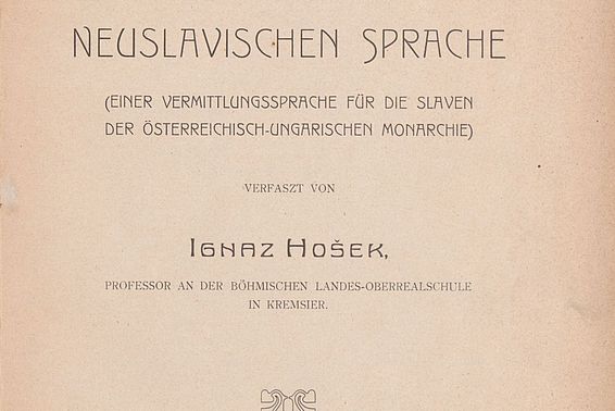 Bräunliches Buchcover mit schwarzer Schrift