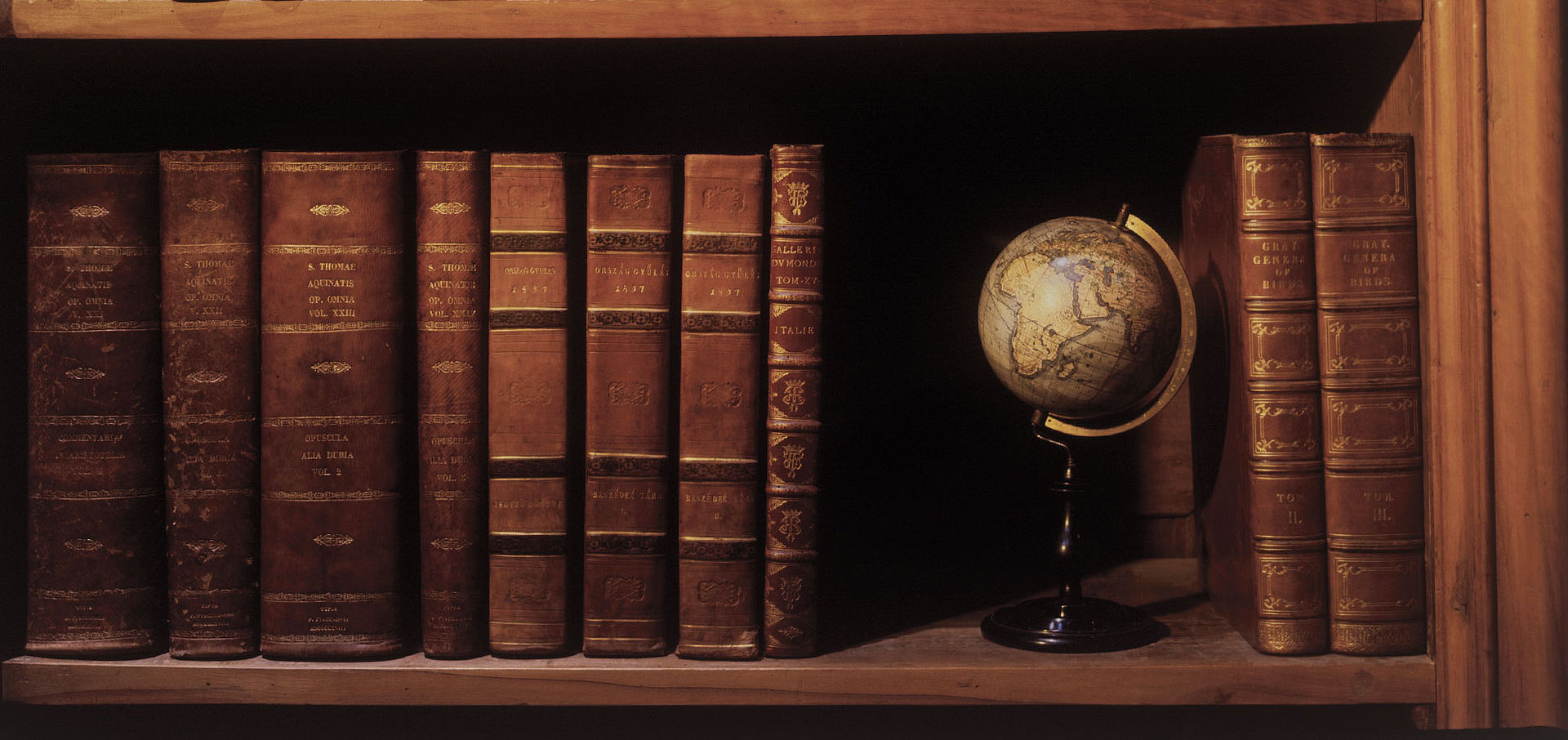 Bücherregal mit Globus