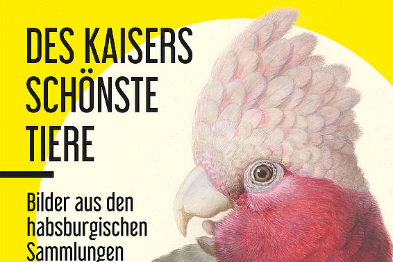 Gelbes Ausstellungsplakat mit rosa Kakadu