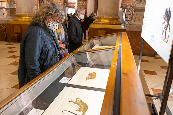 Menschen blicken in Tischvitrine mit Tierbildern