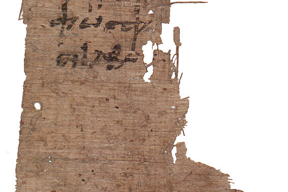 Beschädigtes Papyrus, Geburtshoroskop 