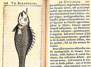 Zeichnung von Fisch mit Einhorn in einem alten Buch