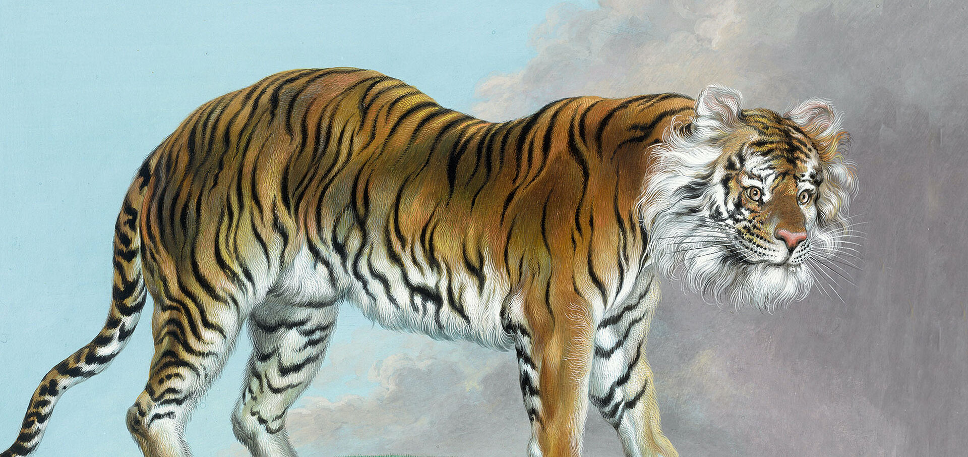 Gemalter Tiger