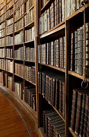 Bücherregal im Prunksaal Bücherregal im Prunksaal