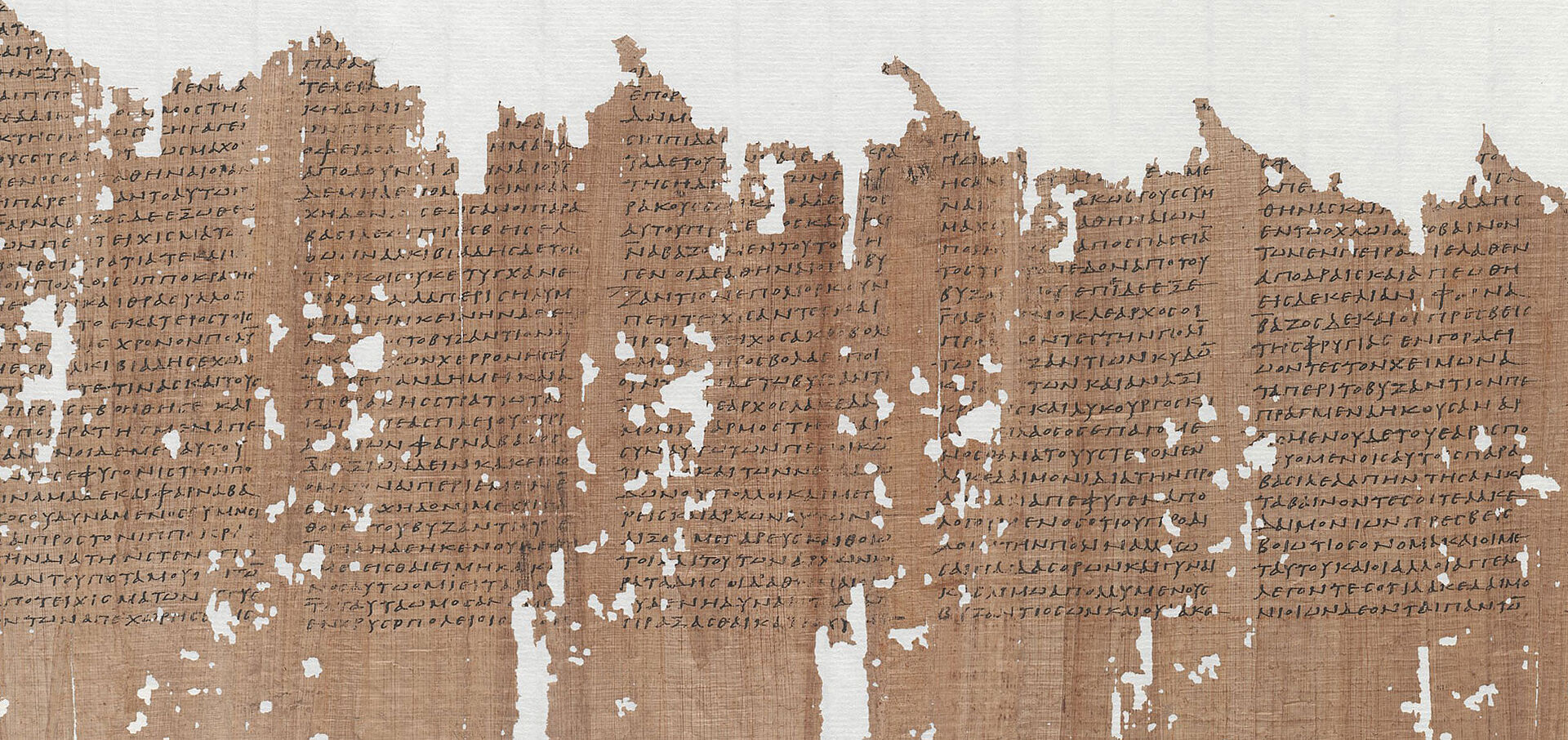 Löchriges Blatt Papyrus