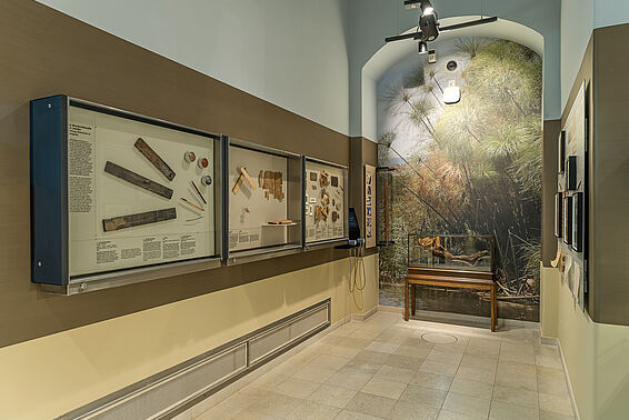 Ansicht des Papyrusmuseums, Tapete mit Papyruspflanzen und Vitrinen mit Werkzeugen zur Papyrusherstellung